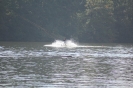 clubwedstrijd_61